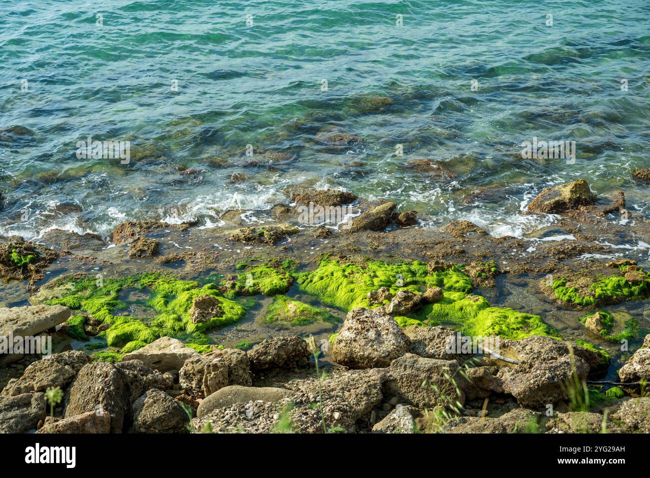 Moosbedeckte Felsen an der Küste in Side, Türkei Stockfoto