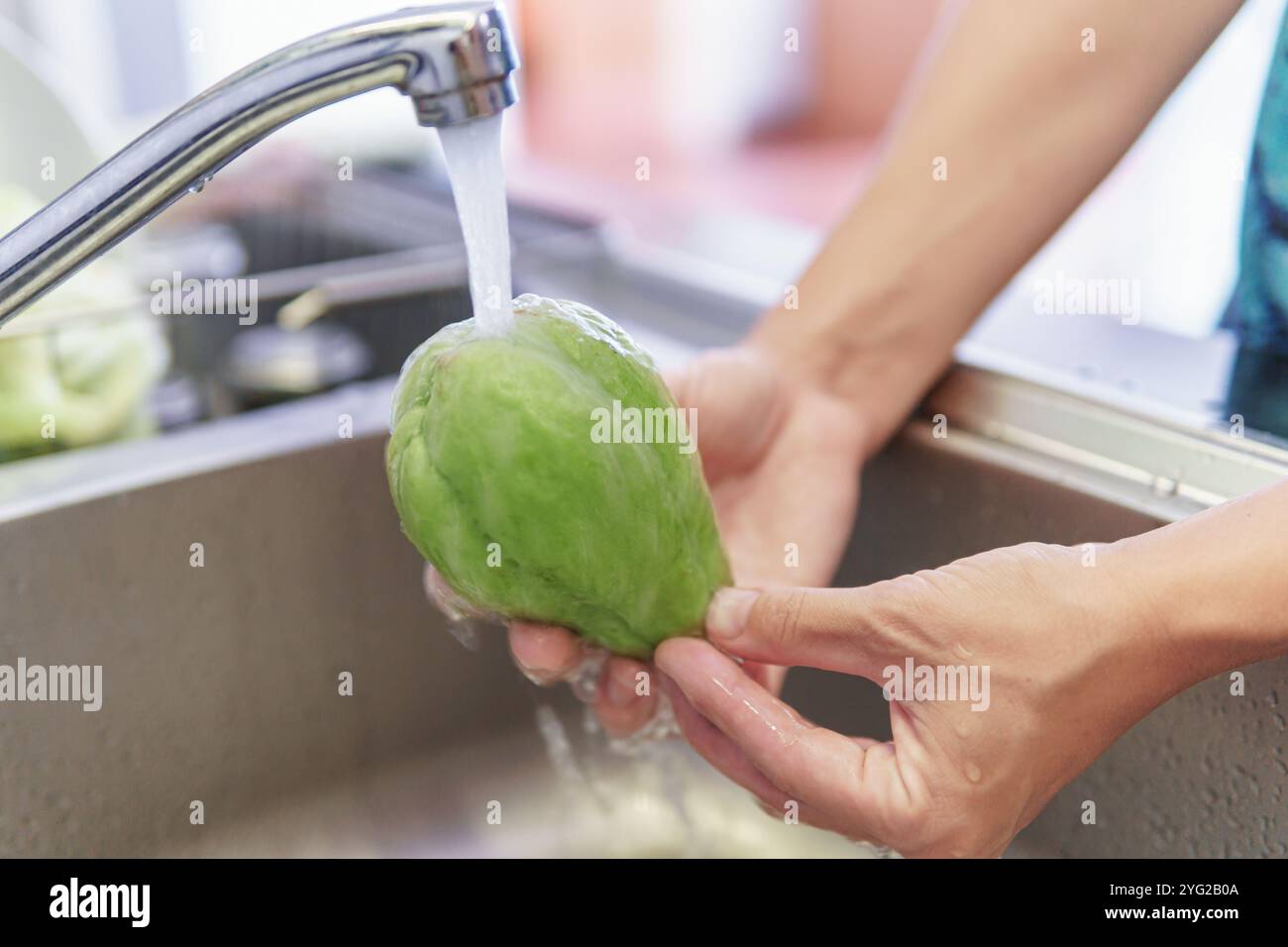 Frauenhände waschen frischen grünen Chayoten in einer Küche Stockfoto