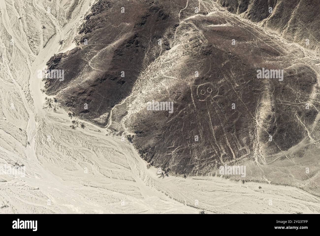 Aerial, der Riese, Nazca Geoglyphen, Nazca Linien, Nazca, Peru6 Stockfoto