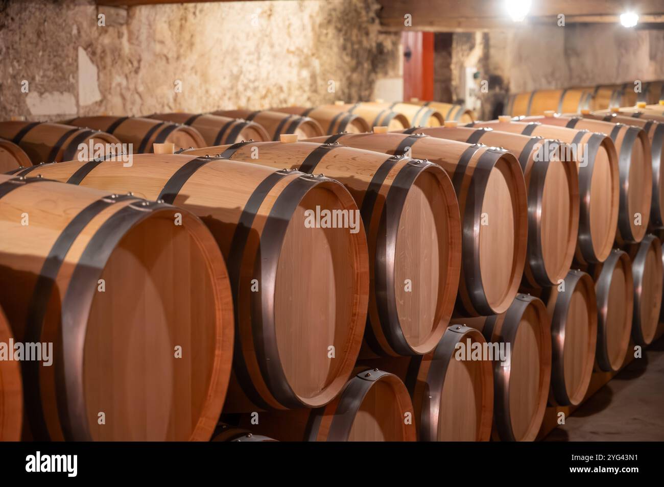 Weinkeller mit französischen Eichenfässern für die Reifung von Rotwein aus der Rebsorte Cabernet Sauvignon, Weinberge Haut-Medoc in Bordeaux, linkes Ufer von G Stockfoto