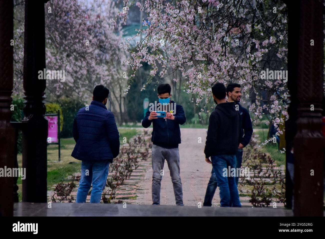 Srinagar, Kaschmir. 21. März 2021. Einheimische und Besucher genießen die Landschaft und den Badamwari-Garten und seine blühenden Mandelbäume in Srinagar, im indischen Kaschmir. Der Garten, der am 21. März für die Öffentlichkeit geöffnet wurde, befindet sich in den Ausläufern des historischen Hari Parbat oder „Koh-e-Maran“ Hügels mit der Festung Durrani und ist ein wichtiger Ort in Srinagar sowohl für Einheimische als auch für Touristen Stockfoto