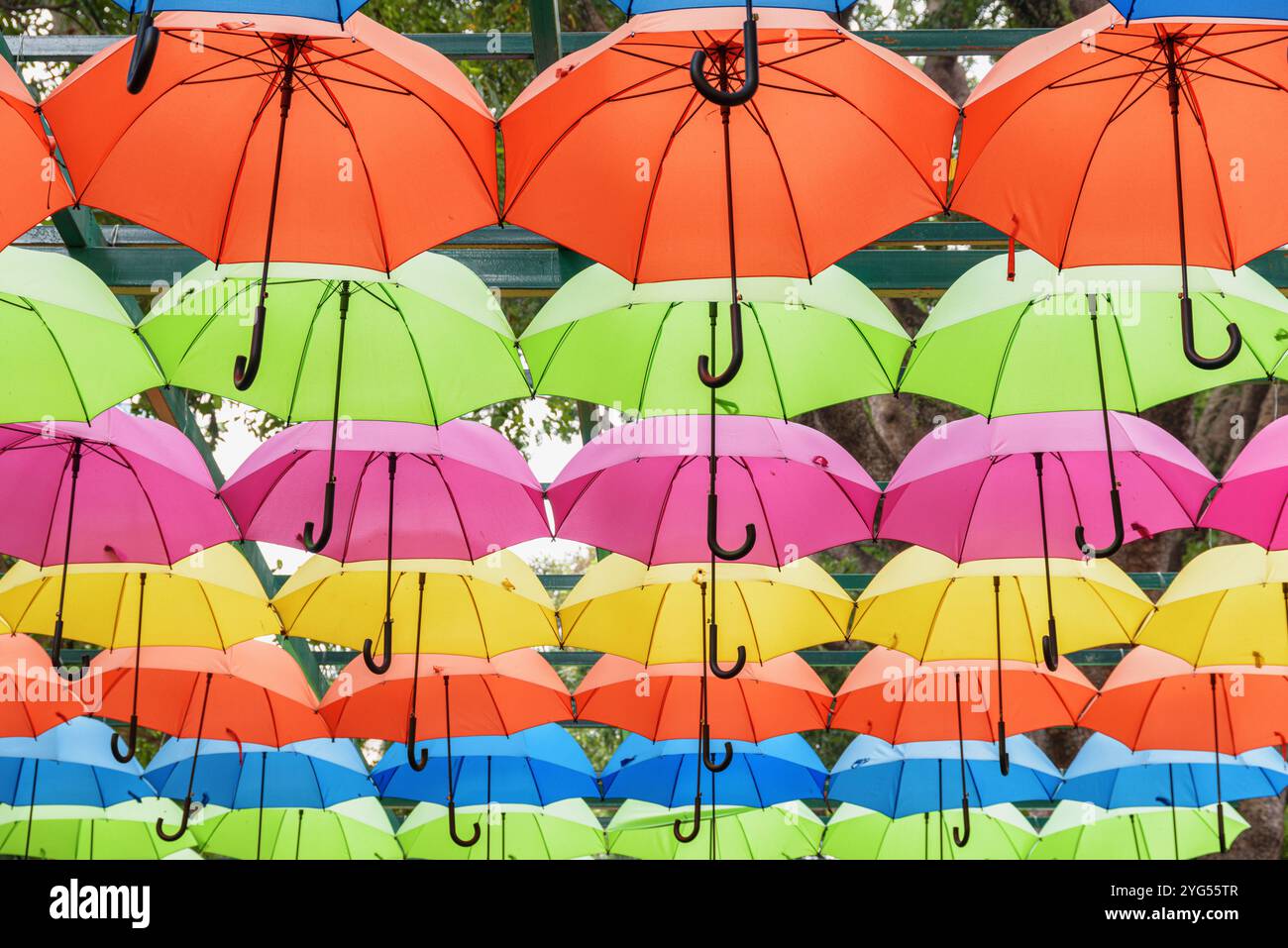 Blick von unten auf bunte Sonnenschirme in einem Park Stockfoto