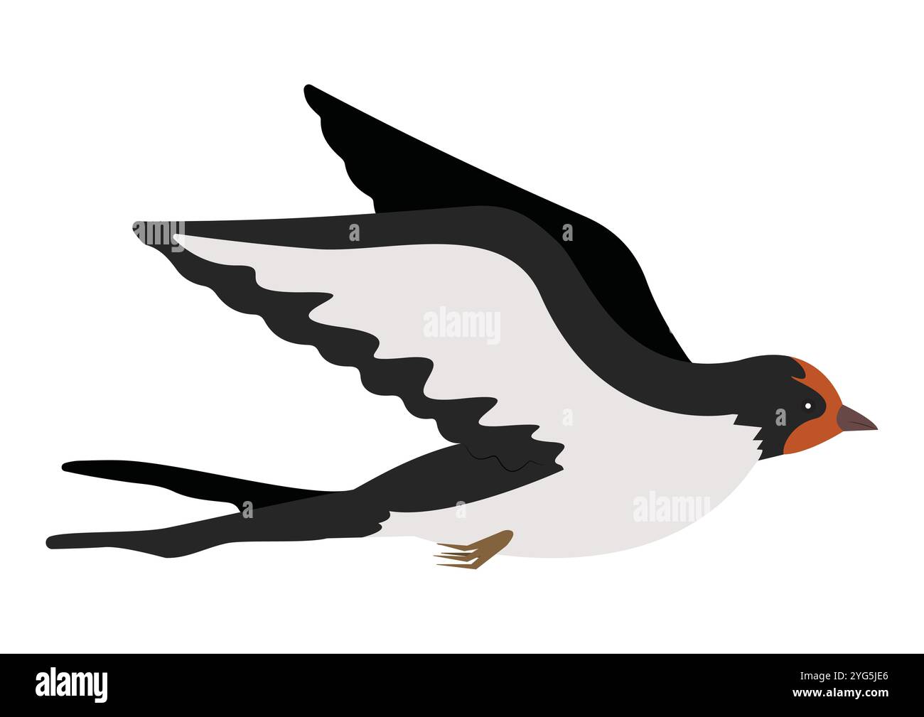 Schwalben Vogel Clipart Vektor Flache Designs Stock Vektor