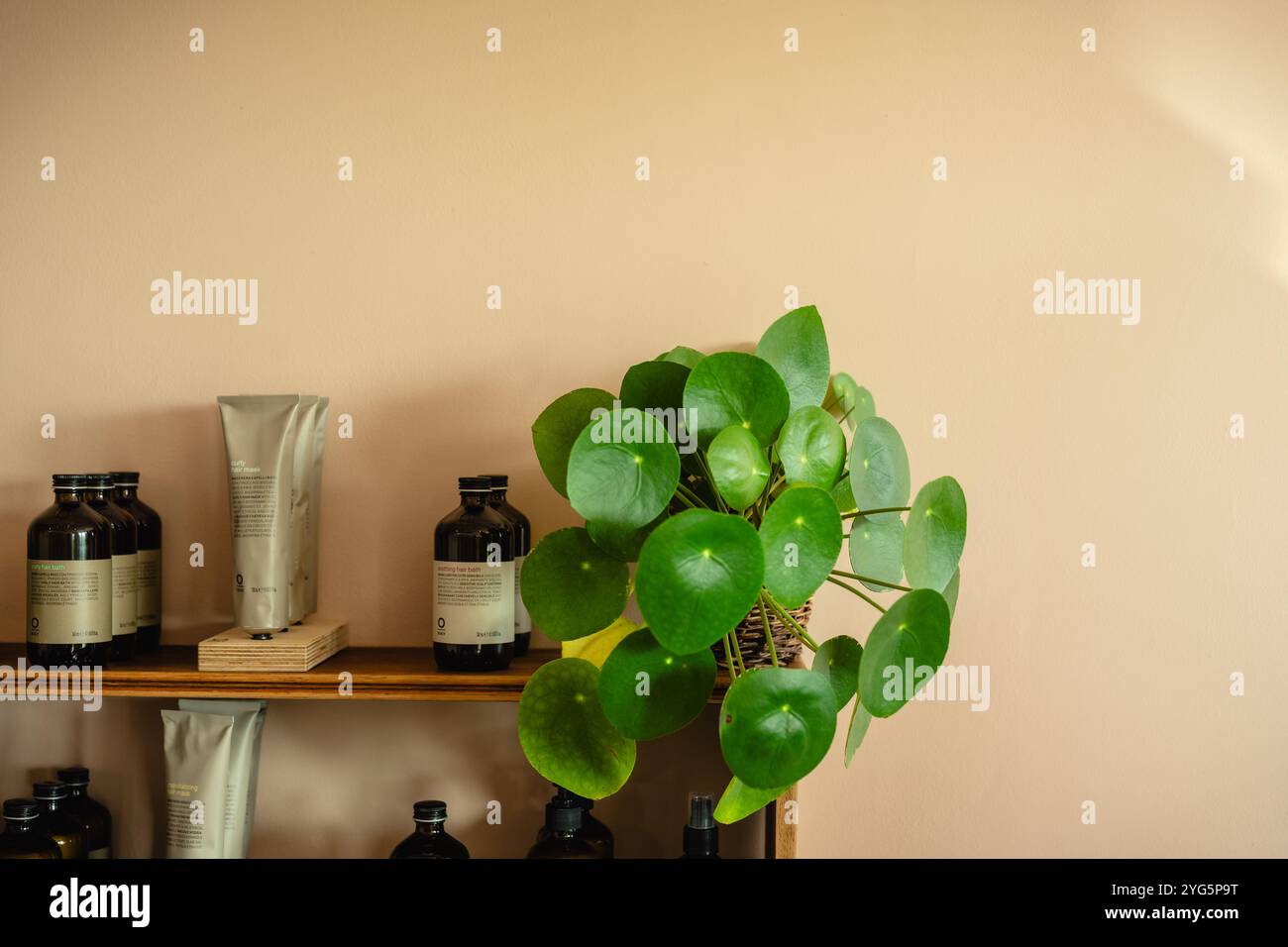 Innenraum eines Friseursalons Stockfoto