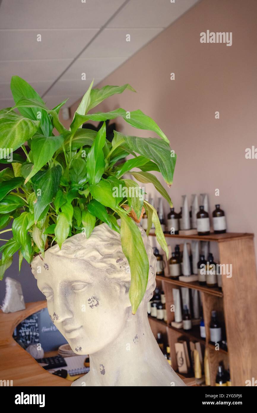 Innenraum eines Friseursalons Stockfoto