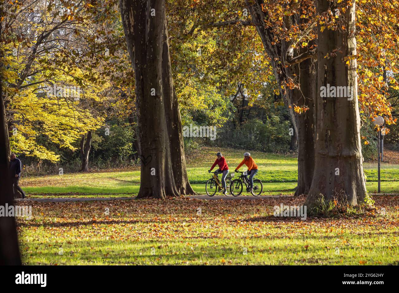 Herbst im Unteren Schlossgarten in Stuttgart. Radfahrer unterwegs im hebstlichen Park. // 05.10.2024: Stuttgart, Baden-Württemberg, Deutschland *** Au Stockfoto