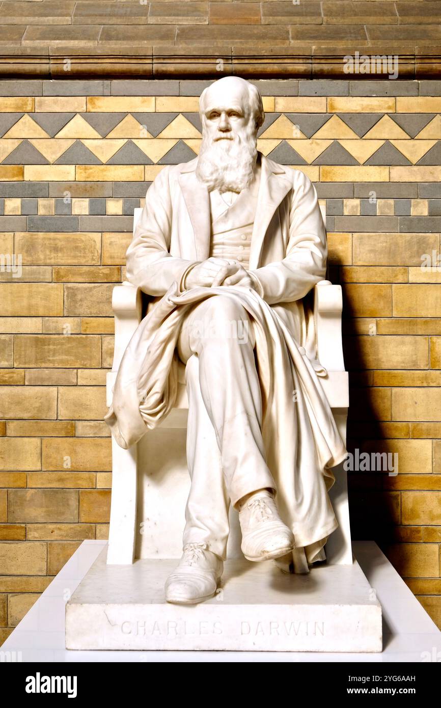 Die Marmorstatue von Charles Darwin wurde 1885 auf der Treppe der Hintze Hall im Natural History Museum in London enthüllt. Stockfoto