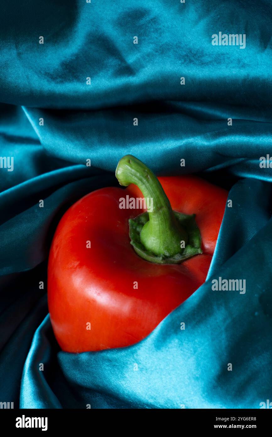 Heller roter Glockenpfeffer auf tiefblauem Satin-Hintergrund - grüner Stoff bedeckt einen Pfeffer Stockfoto