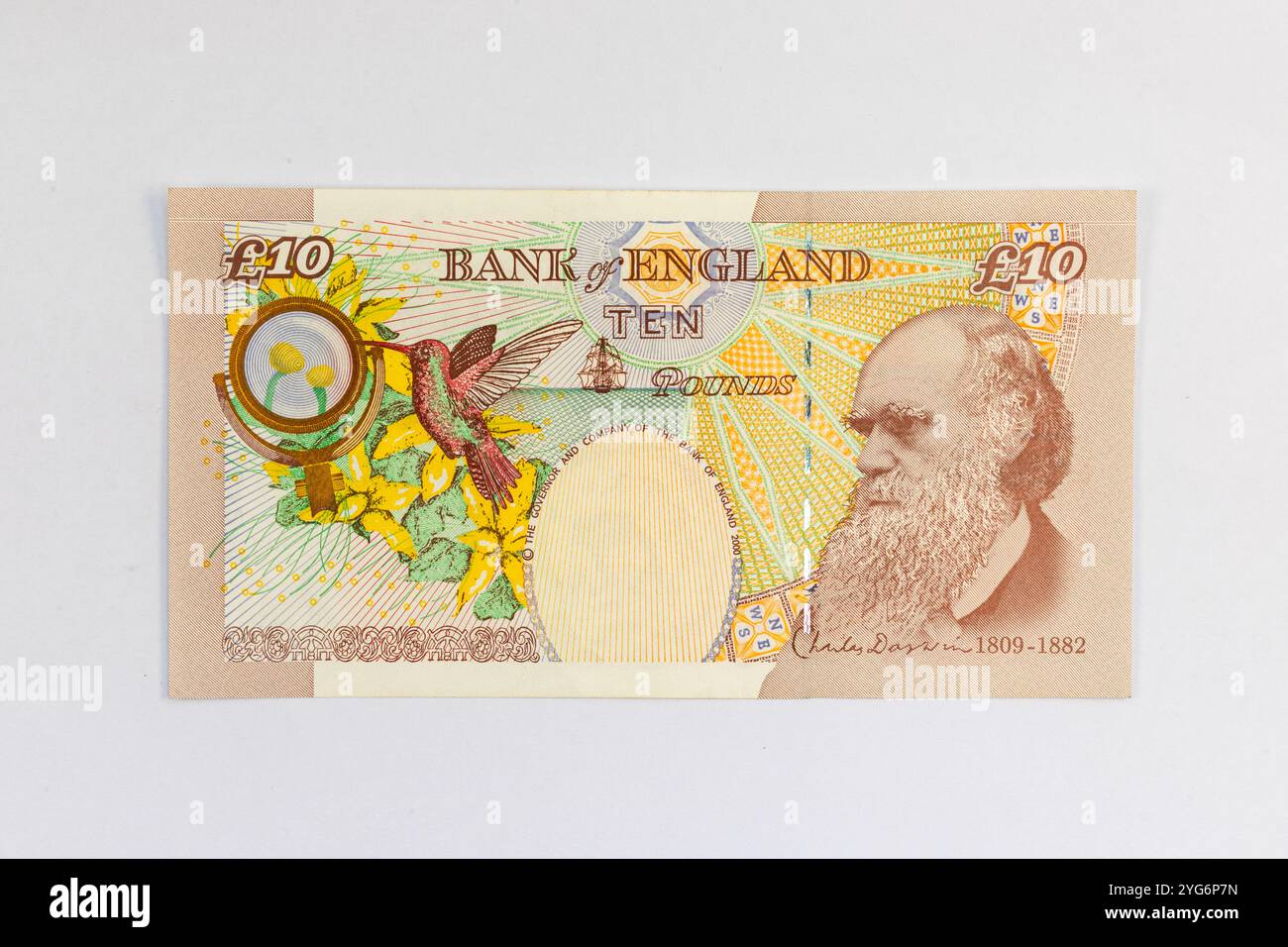 Britische £10-Banknote zurück mit Charles Darwin Portrait und Kolibri Stockfoto