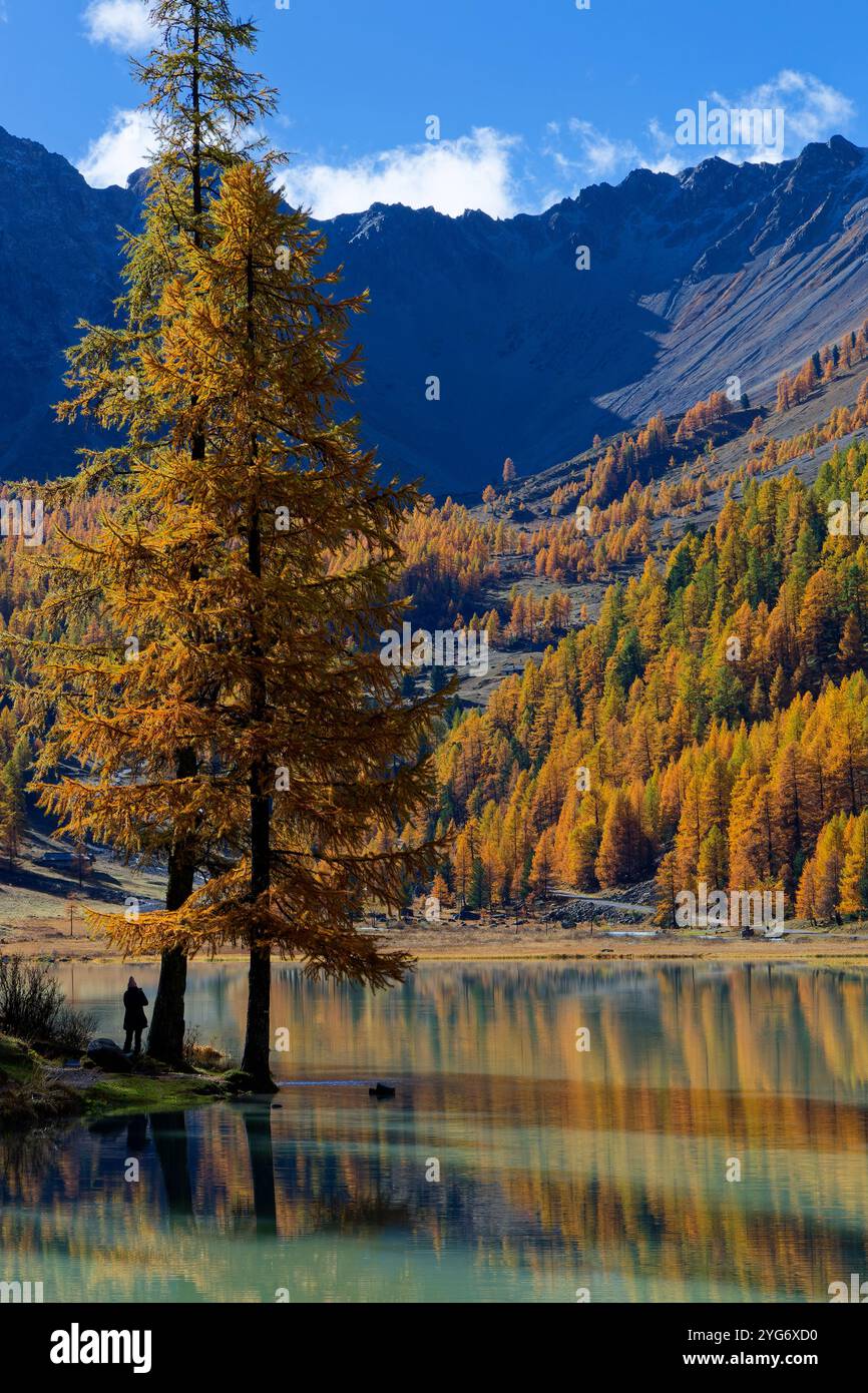 Der smaragdgrüne See von Orceyerette, umgeben von Lärchen und hundertjährigen Kiefern, gekrönt von hohen Bergrücken. Stockfoto