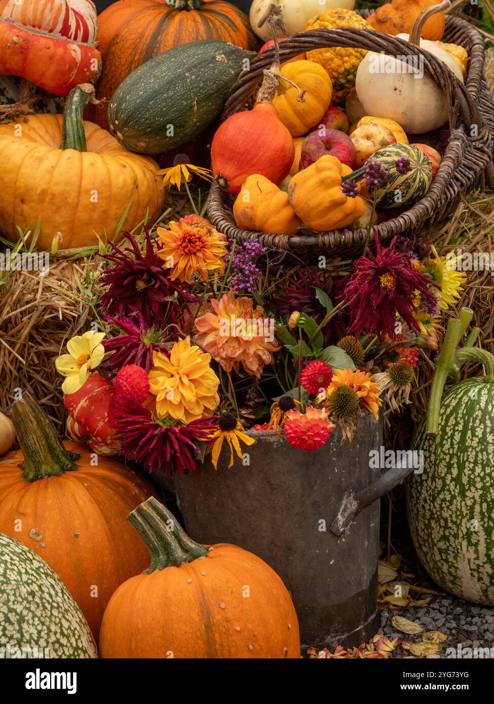 Erntefest: Korb mit Kürbissen und Kürbissen mit einem Eimer frisch geschnittener Dahlien im Vordergrund, der auf einem Strohballen steht Stockfoto