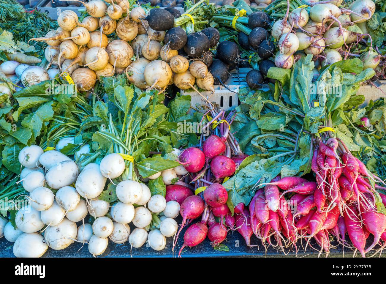 Rettich in verschiedenen Formen und Farben zum Verkauf auf einem Markt Stockfoto