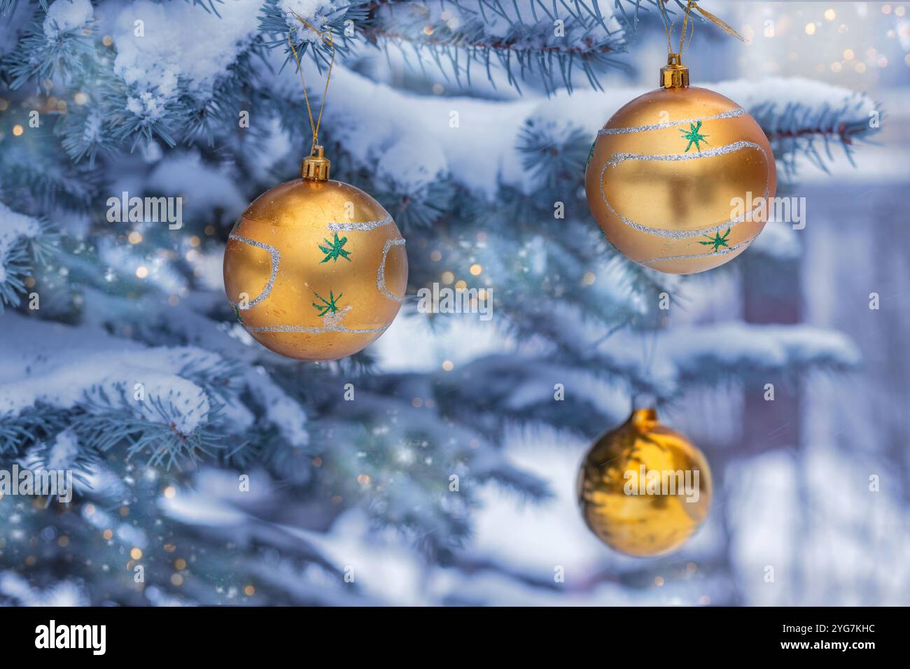 Blaue Fichte bedeckt mit Schnee und mit drei goldenen Weihnachtskugeln verziert. Im Freien am Wintertag. Postkarte. Stockfoto