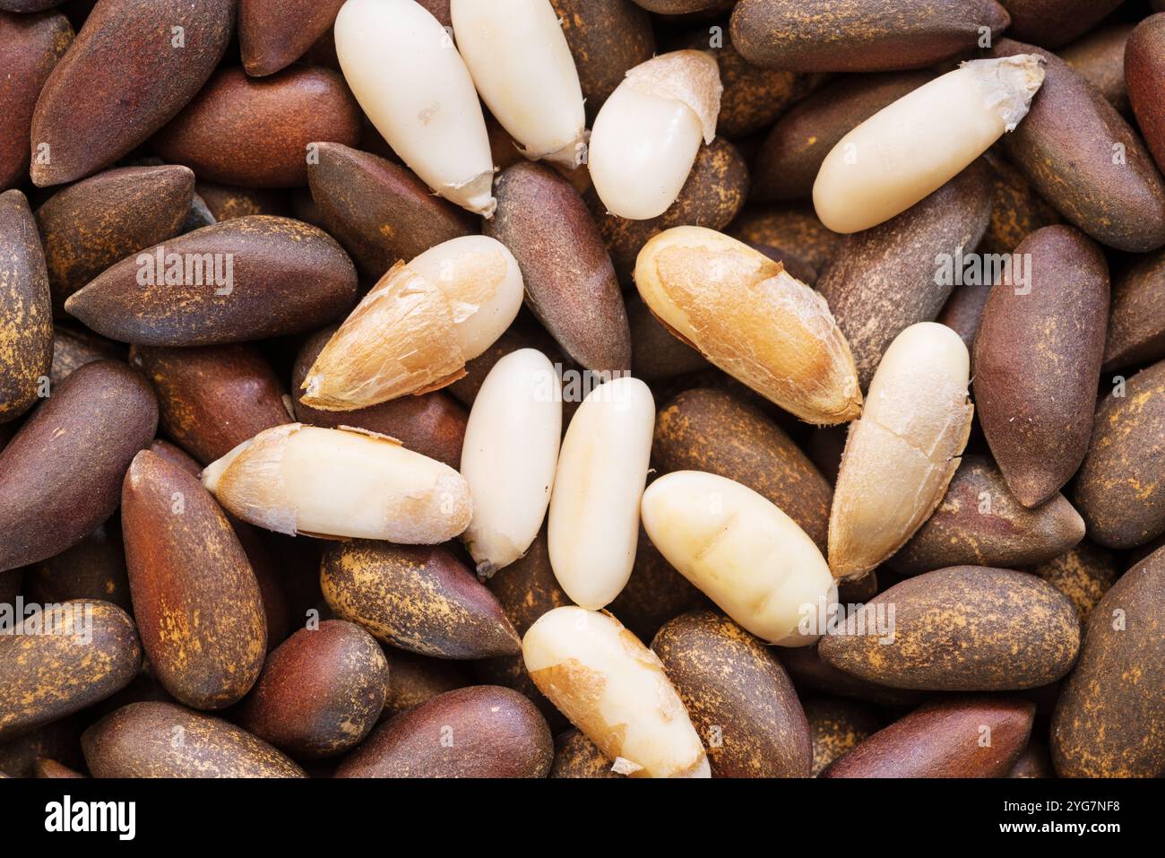 Makrobild von geschälten und ungeschälten Pinyon-Pinienkernen Stockfoto