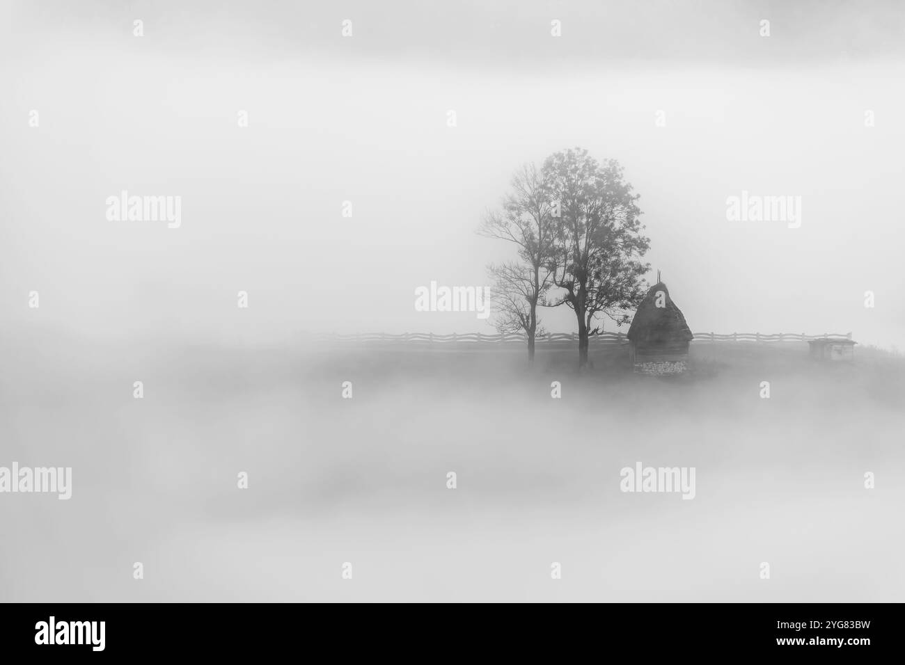 Früher nebeliger Morgen überrascht in der rumänischen Landschaft. Foto aufgenommen am 13. Oktober 2024 in Dumesti, Siebenbürgen, Rumänien. Stockfoto