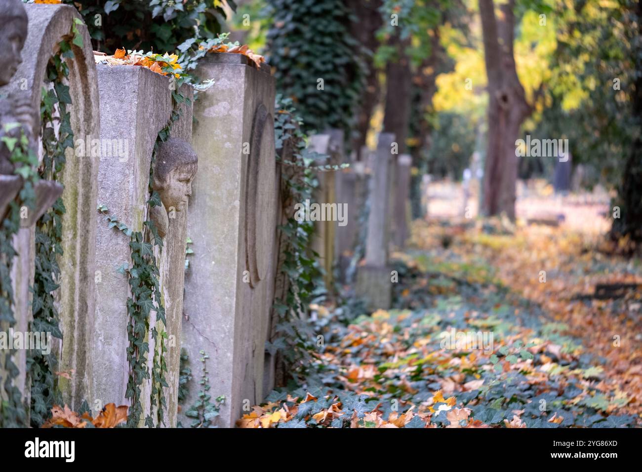 Vorkriegsgräber auf dem Neuen Jüdischen Friedhof im Prager Stadtteil Zizkow, Tschechische Republik. Fotografiert im Herbst mit gefallenen Blättern auf dem Boden. Stockfoto