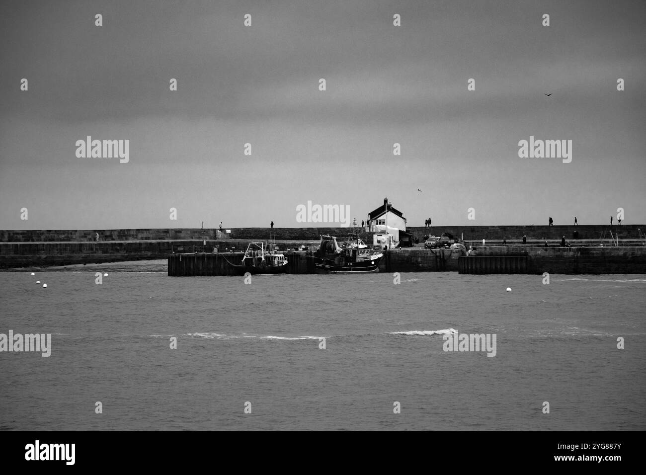 Auf dem Cobb bei Lyme Regis Stockfoto