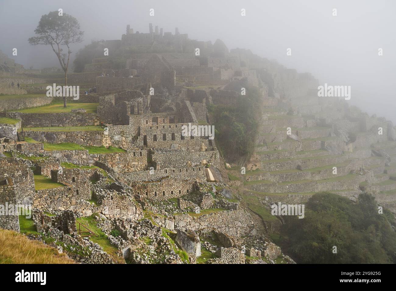 Ein nebeliger Morgen in Machu Pichu Stockfoto