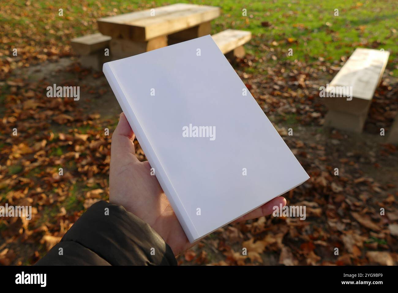 Ein weißes Buch in der Hand vor einem Hintergrund aus Holzbänken und Herbstblättern. Perfekt zur Präsentation von Bucheinbänden oder Produktverpackungen. Stockfoto