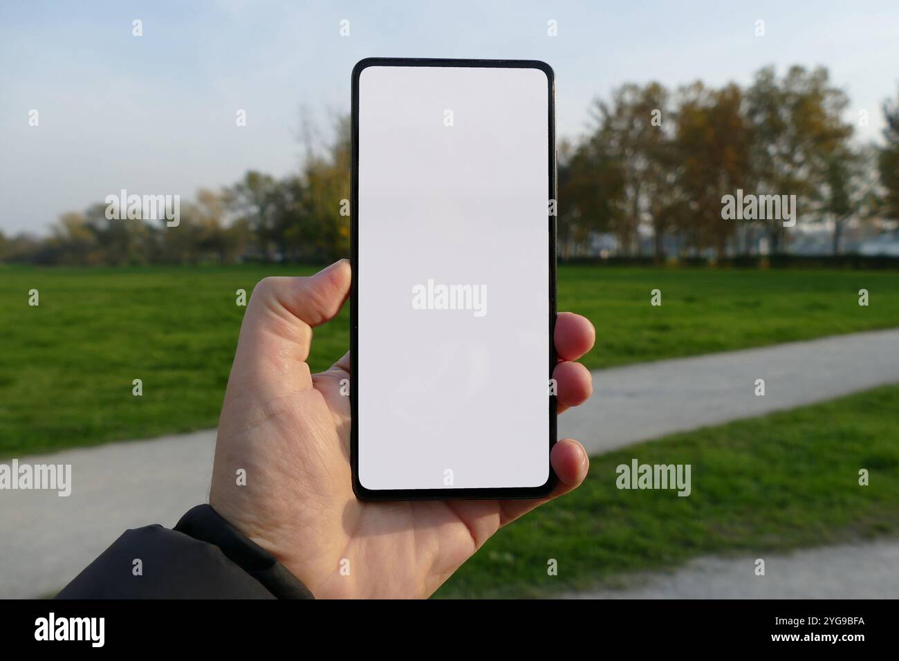 Eine Hand, die ein Smartphone mit einem leeren weißen Bildschirm vor dem Hintergrund eines Parks mit grünem Gras und Bäumen hält. Perfekt für die Präsentation mobiler App-Designs Stockfoto