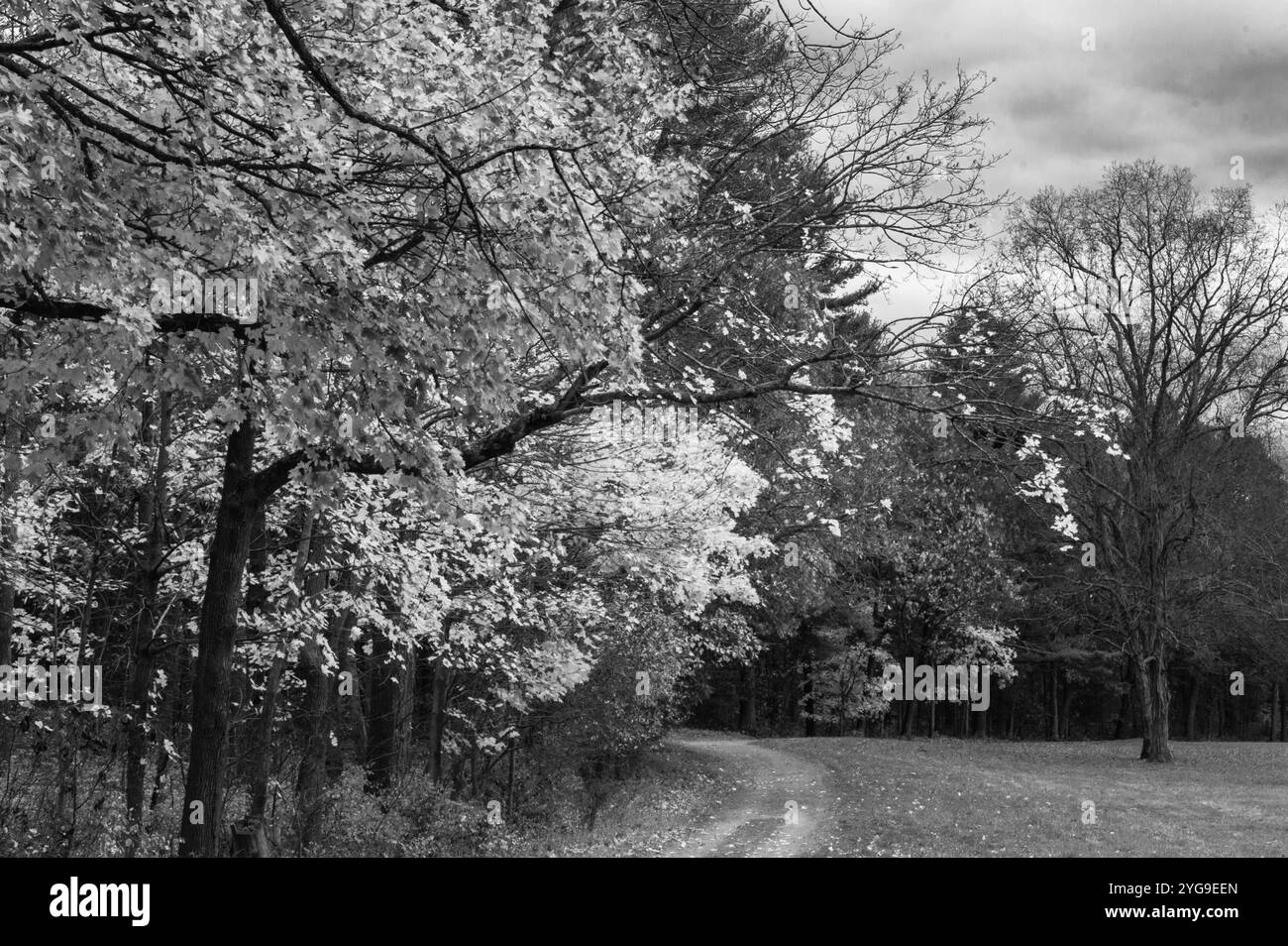 Folgen Sie Path Horizontal North Easton, MA Stockfoto