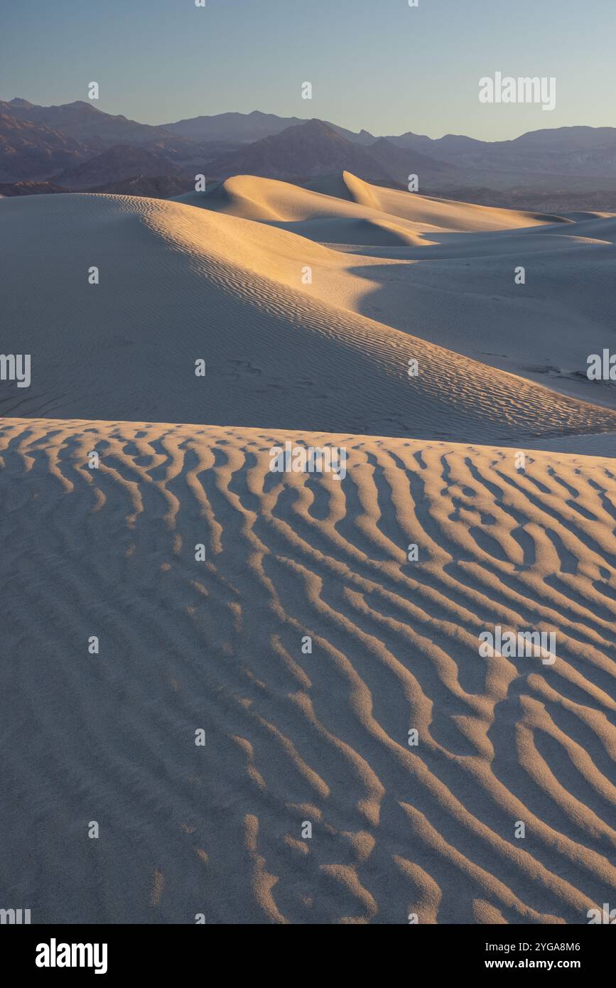 Vom Wind durchzogene Sandmuster mit Morgenlicht, Mesquite Flat Sand Dunes, Death Valley National Park, Kalifornien Stockfoto