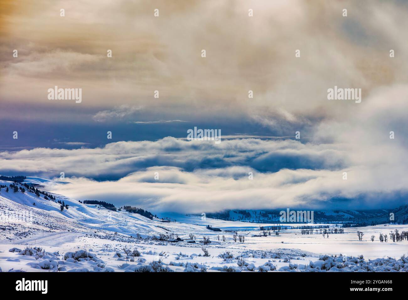 Nördliche Reihe des Yellowstone-Nationalparks Stockfoto