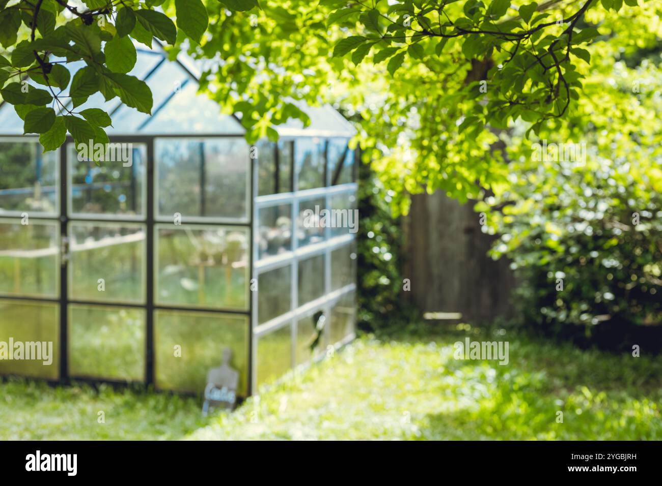 Unscharfer grüner Garten, Glashaus Pflanze Gärtnerei zu Hause Hinterhof verlassen Anspruch in Landschaft Ansicht für Hintergrund. Stockfoto