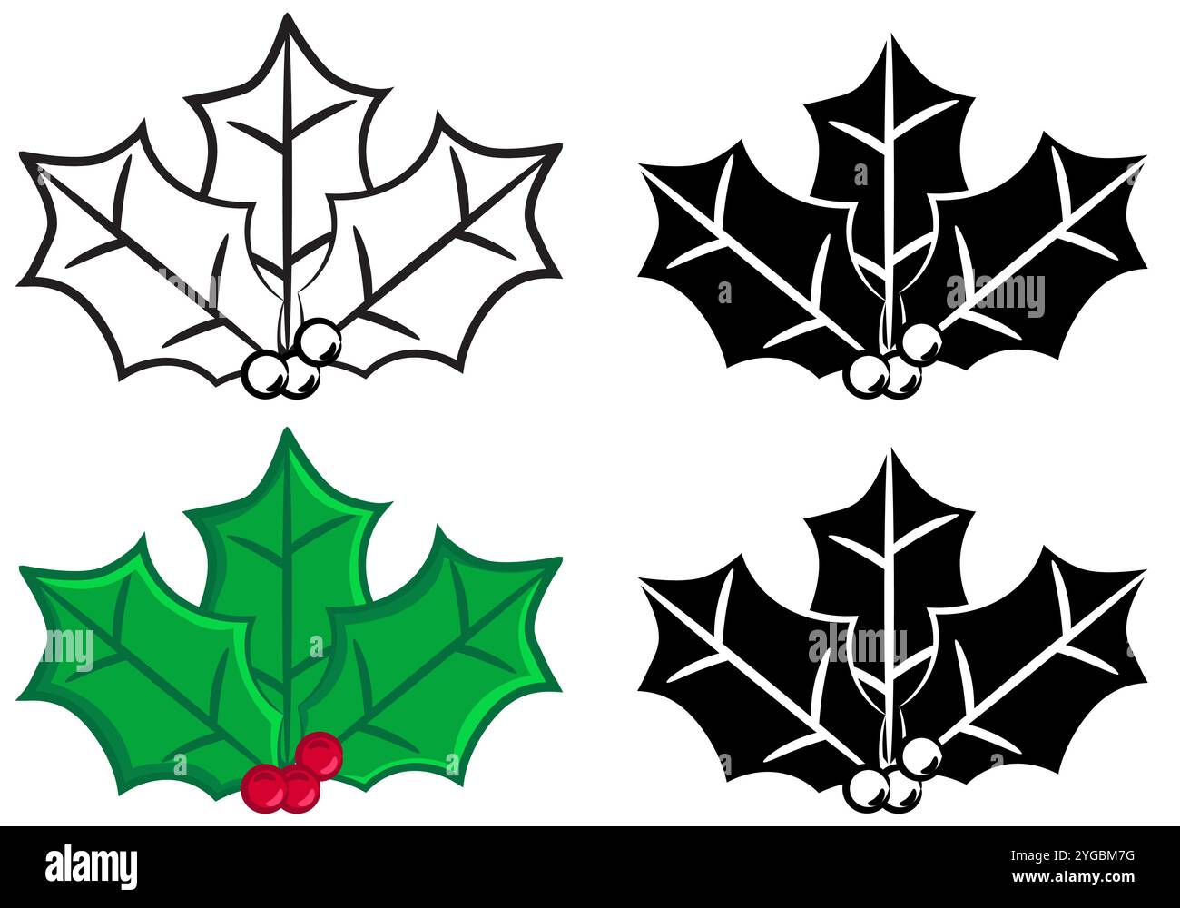 Set von festlichen Stechpalmen-Vektoren in Schwarz und weiß und Farbe mit Cartoon-Stil Umrissversionen isoliert auf einem weißen Hintergrund Stock Vektor