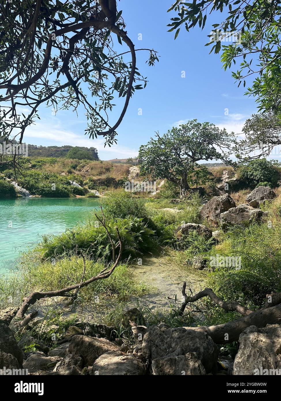 Wadi Dhabat, Oman. Berühmter Wasserpool im üppigen Salalah - Smartphone-aufgenommenes Stockfoto