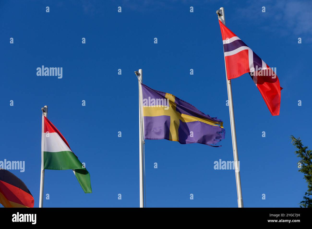 Drei markante Fahnen flattern im Wind und zeigen leuchtende Farben unter einem klaren blauen Himmel, die Einheit symbolisieren. Stockfoto