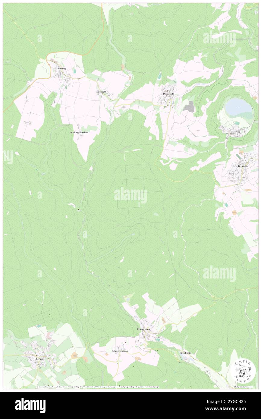 Bettenfelder Wald, DE, Deutschland, Rheinland-Pfalz, N 50 4' 41''', N 6 42' 56''', Karte, Karte, Kartenausgabe 2024. Erkunden Sie Cartascapes, eine Karte, die die vielfältigen Landschaften, Kulturen und Ökosysteme der Erde enthüllt. Reisen Sie durch Zeit und Raum und entdecken Sie die Verflechtungen der Vergangenheit, Gegenwart und Zukunft unseres Planeten. Stockfoto