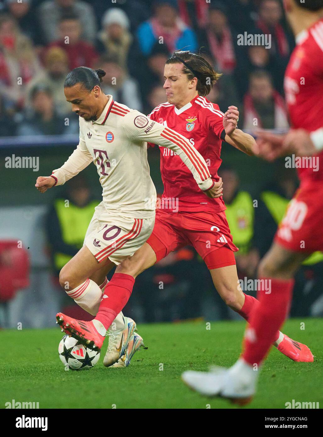 München, Deutschland. November 2024. Leroy SANE, FCB 10 wetteifern um den Ball, Tackling, Duell, Header, zweikampf, Action, Kampf gegen Alvaro Carreras, Liss 3 im Gruppenligaspiel FC BAYERN MÜNCHEN - SL BENFICA LISSABON 1-0 Fußball UEFA Champions League in der Saison 2024/2025 in München, 06. November 2024, FCB, 4. Spieltag, München Fotograf: ddp Images/STAR-Images Credit: ddp Media GmbH/Alamy Live News Stockfoto