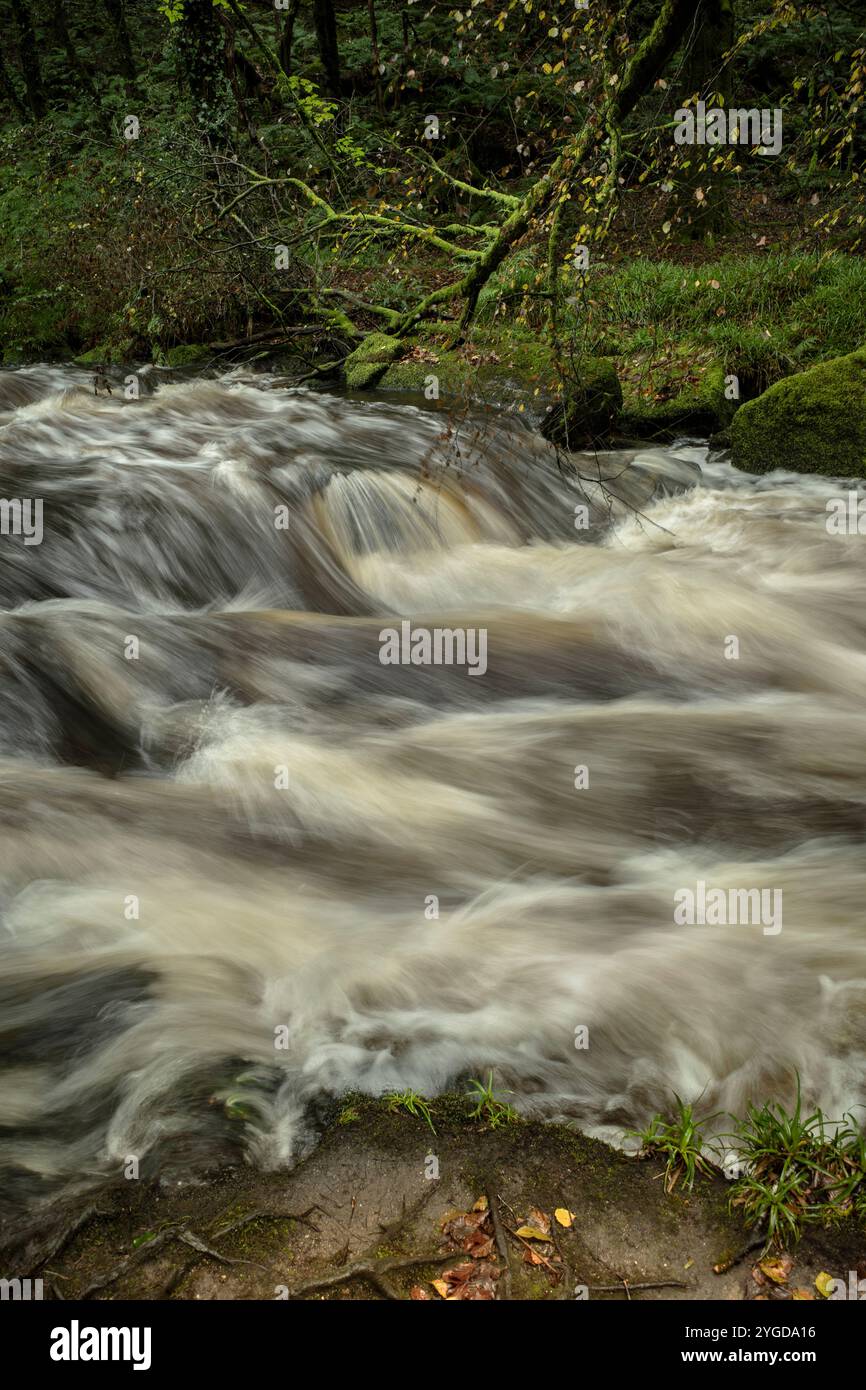 Golitha Falls. Der schnell fließende Fluss Fowey fließt durch den alten Wald von Draynes Wood am Bodmin Moor in Cornwall in Großbritannien. Stockfoto