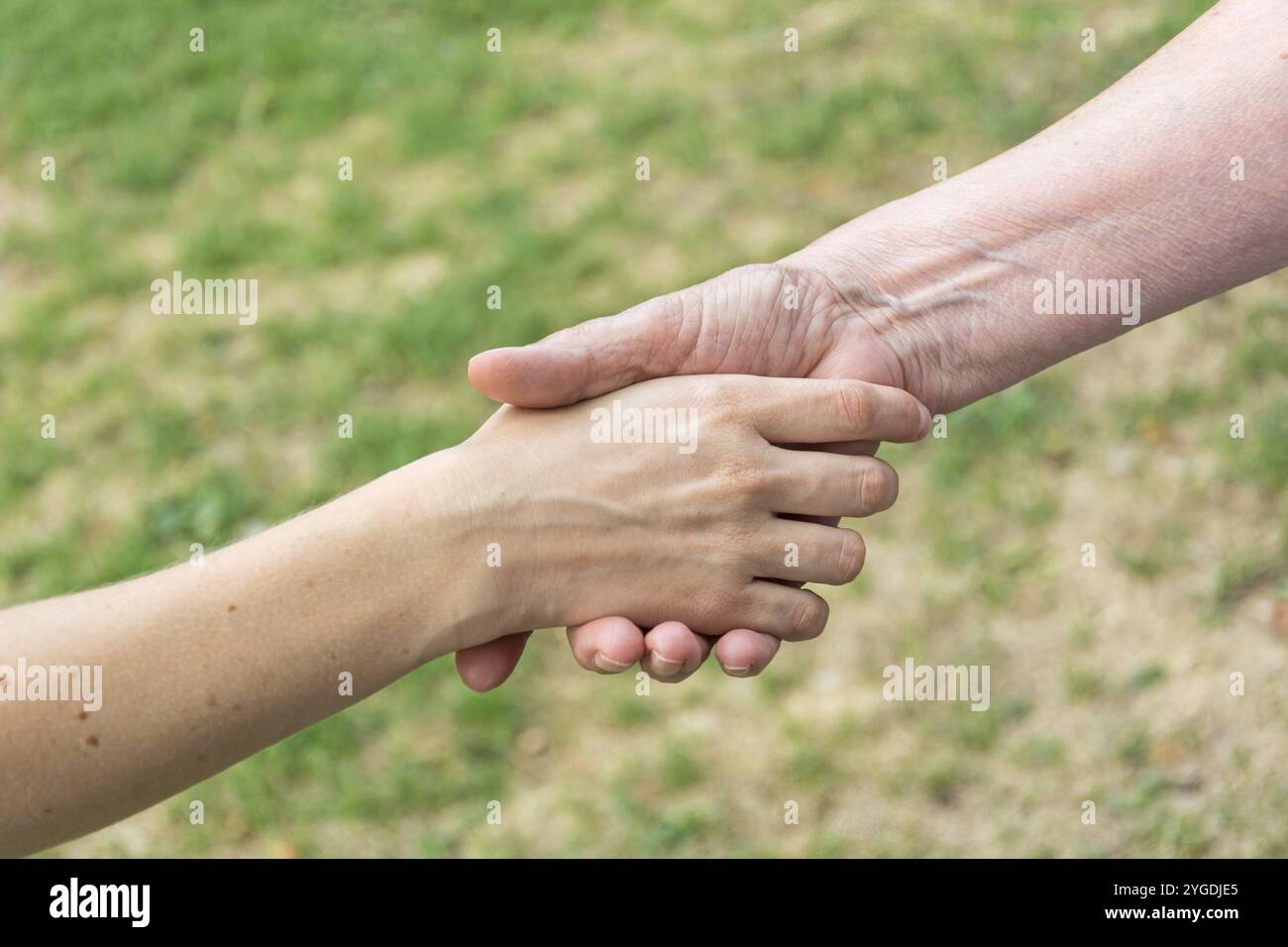 Alte und junge Hände beim Händeschütteln Stockfoto