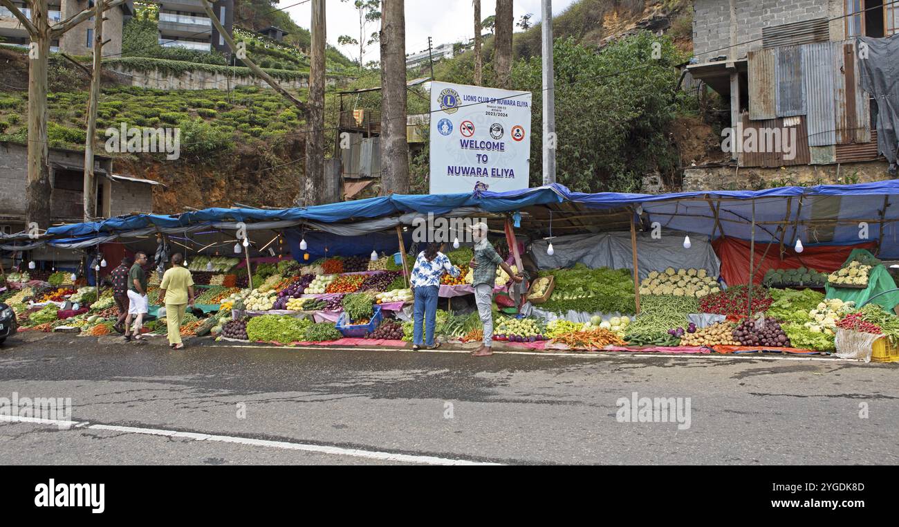 Gemüsestand in Nuwara Eliya, Zentralprovinz, Sri Lanka, Asien Stockfoto