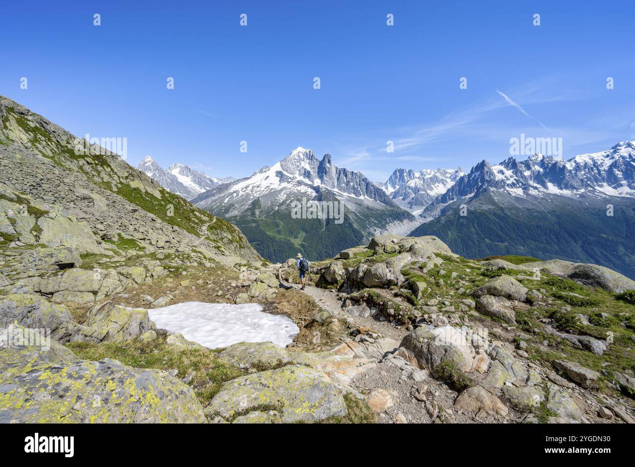 Bergsteiger auf einem Wanderweg vor einer Berglandschaft, Blick auf die Berggipfel Aiguille Verte und Grandes Jorasses des Mont Blanc massi Stockfoto