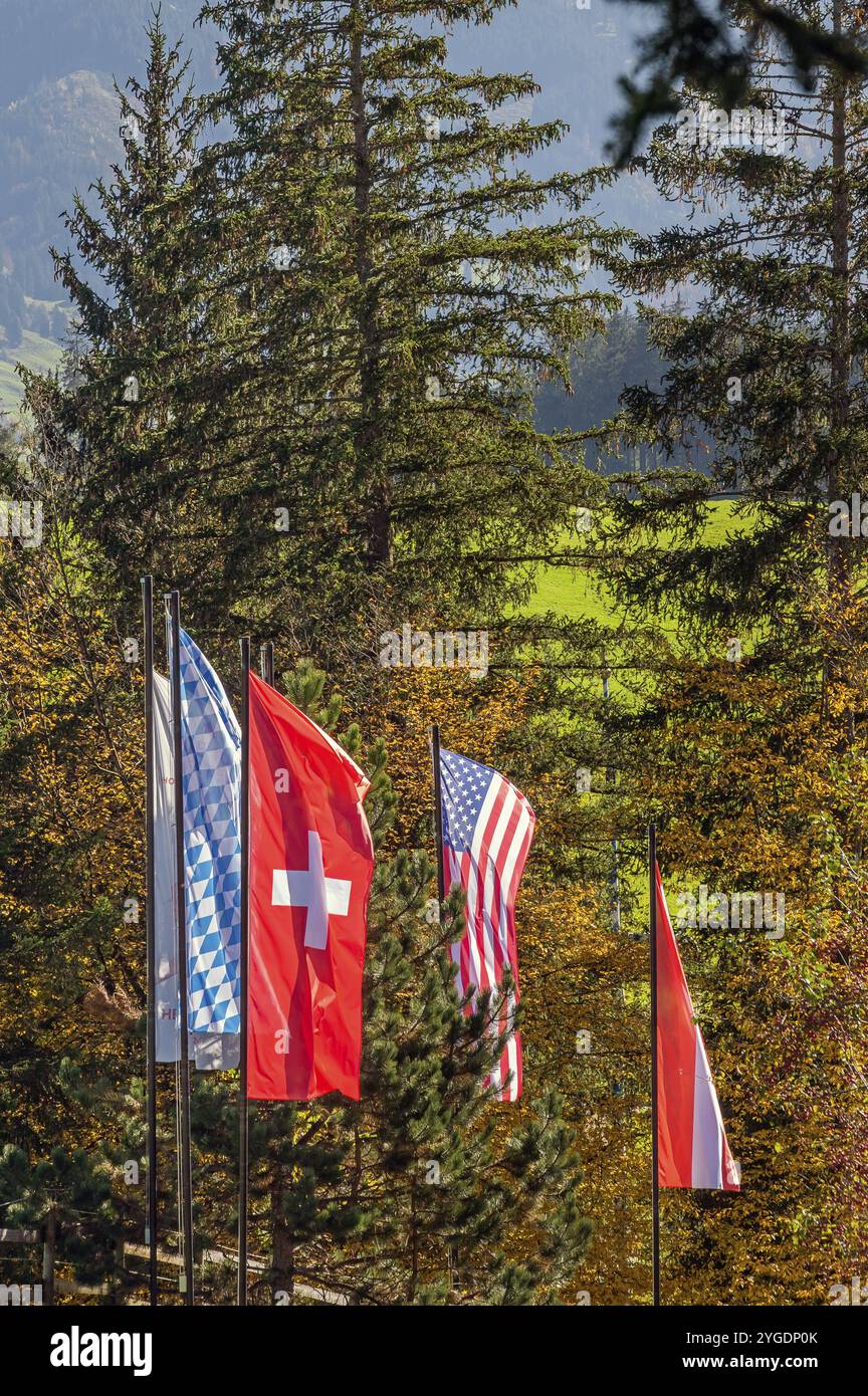 Internationale Flaggen und Mischwald bei Ofterschwang, Allgaeu, Bayern, Deutschland, Europa Stockfoto