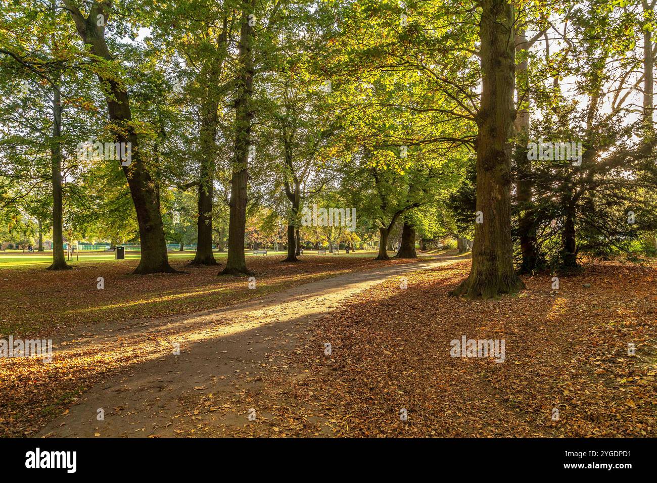 Am späten Nachmittag Sonnenschein in Abington Park, Northampton, Großbritannien. Stockfoto