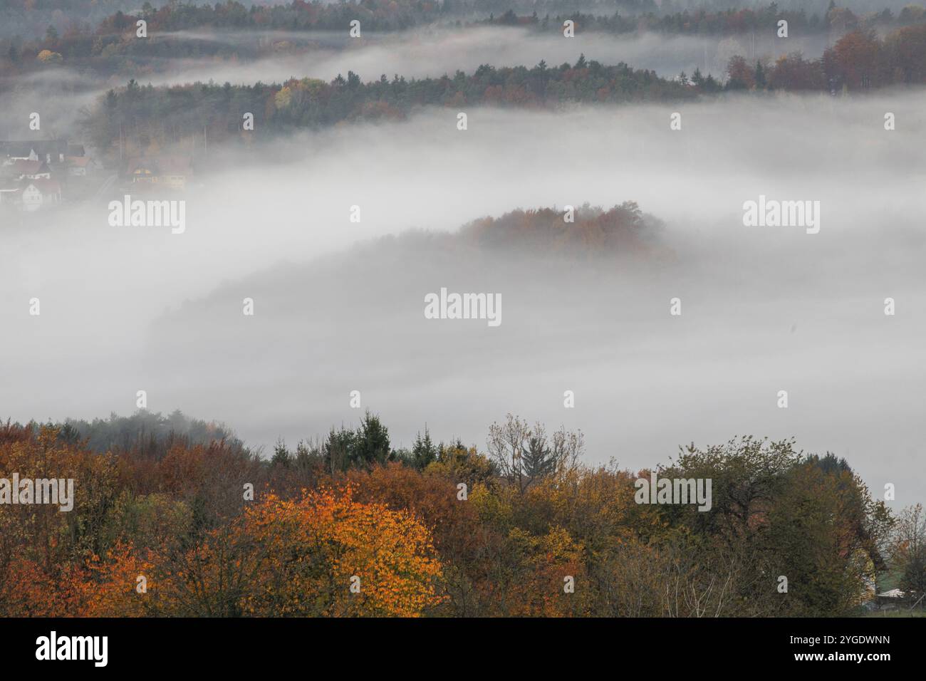 Herbststimmung am frühen Morgen, Nebel driftet durch die hügelige Landschaft, St. Andrae-Hoech, Sausal Weinland, Steiermark, Österreich, Europa Stockfoto