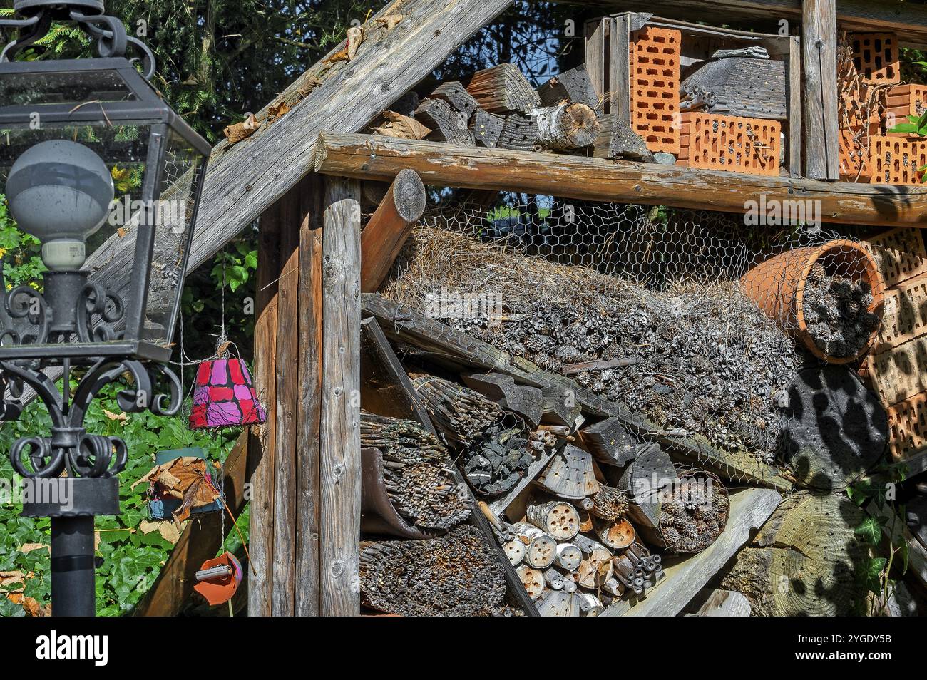 Insektenhotel in der Nähe von Ofterschwang, Allgaeu, Bayern, Deutschland, Europa Stockfoto