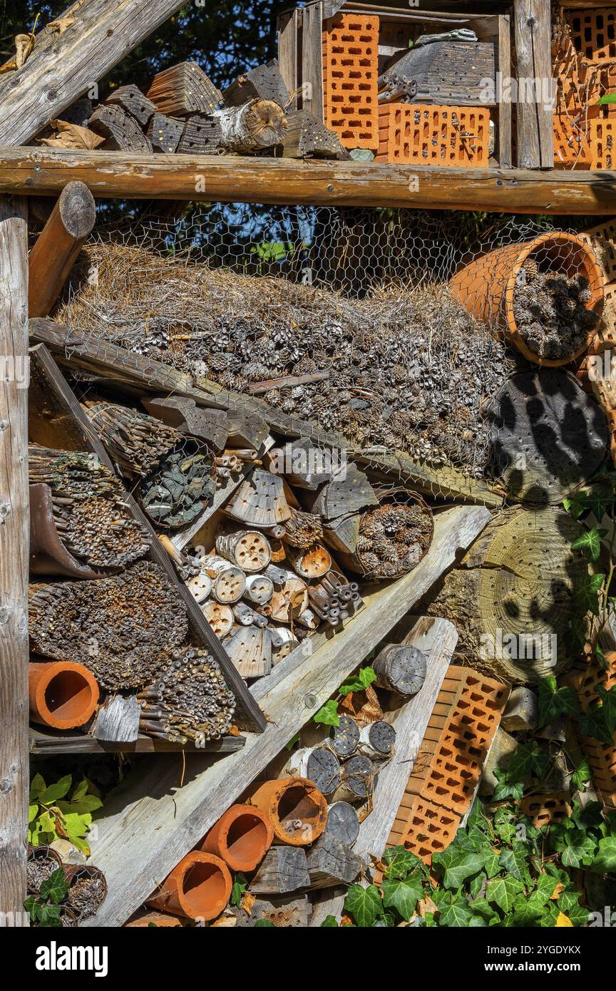 Insektenhotel in der Nähe von Ofterschwang, Allgaeu, Bayern, Deutschland, Europa Stockfoto