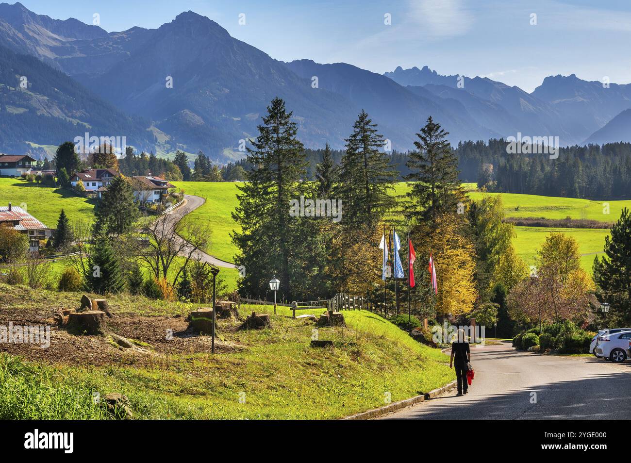 Grüne Wiesen, Allgäuer Alpen und Mischwald mit bunten Fahnen bei Ofterschwang, Allgäuer, Bayern, Deutschland, Europa Stockfoto