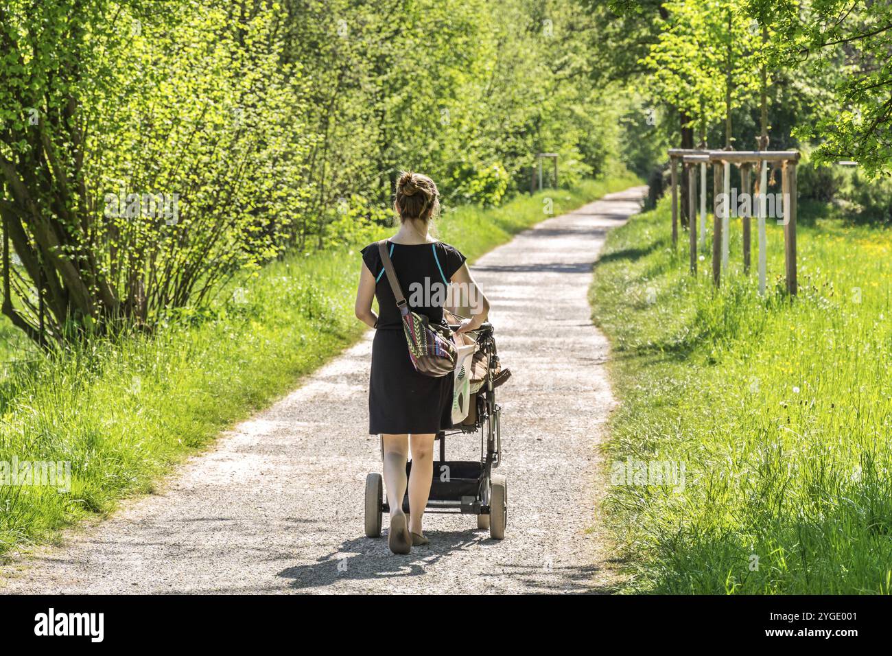 Junge Frau mit Buggy im Sommer in einem Park Stockfoto