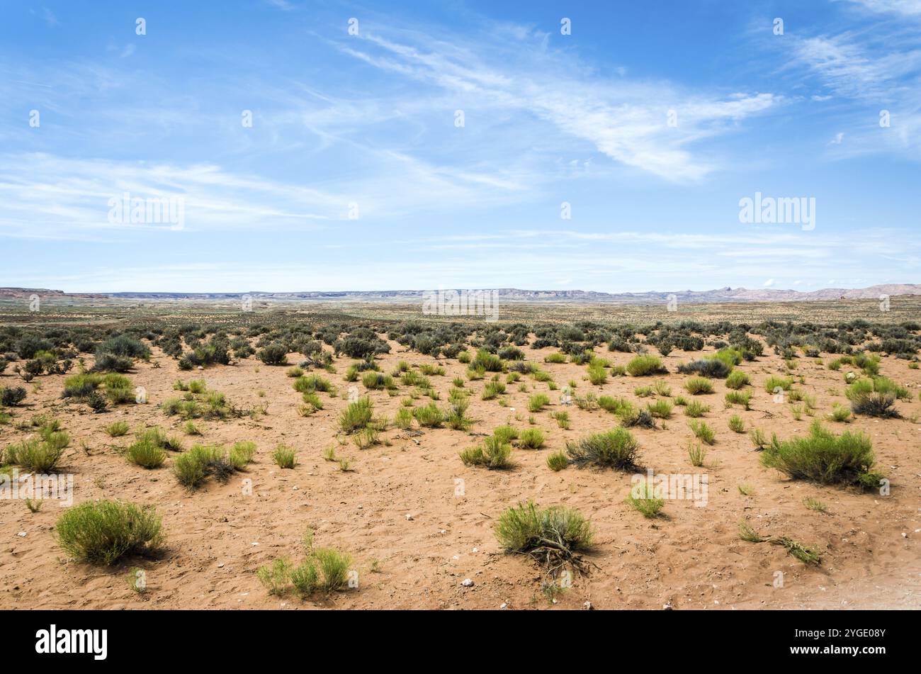 Schöne Wüstenlandschaft mit rotem Sand und grünen Büschen Stockfoto
