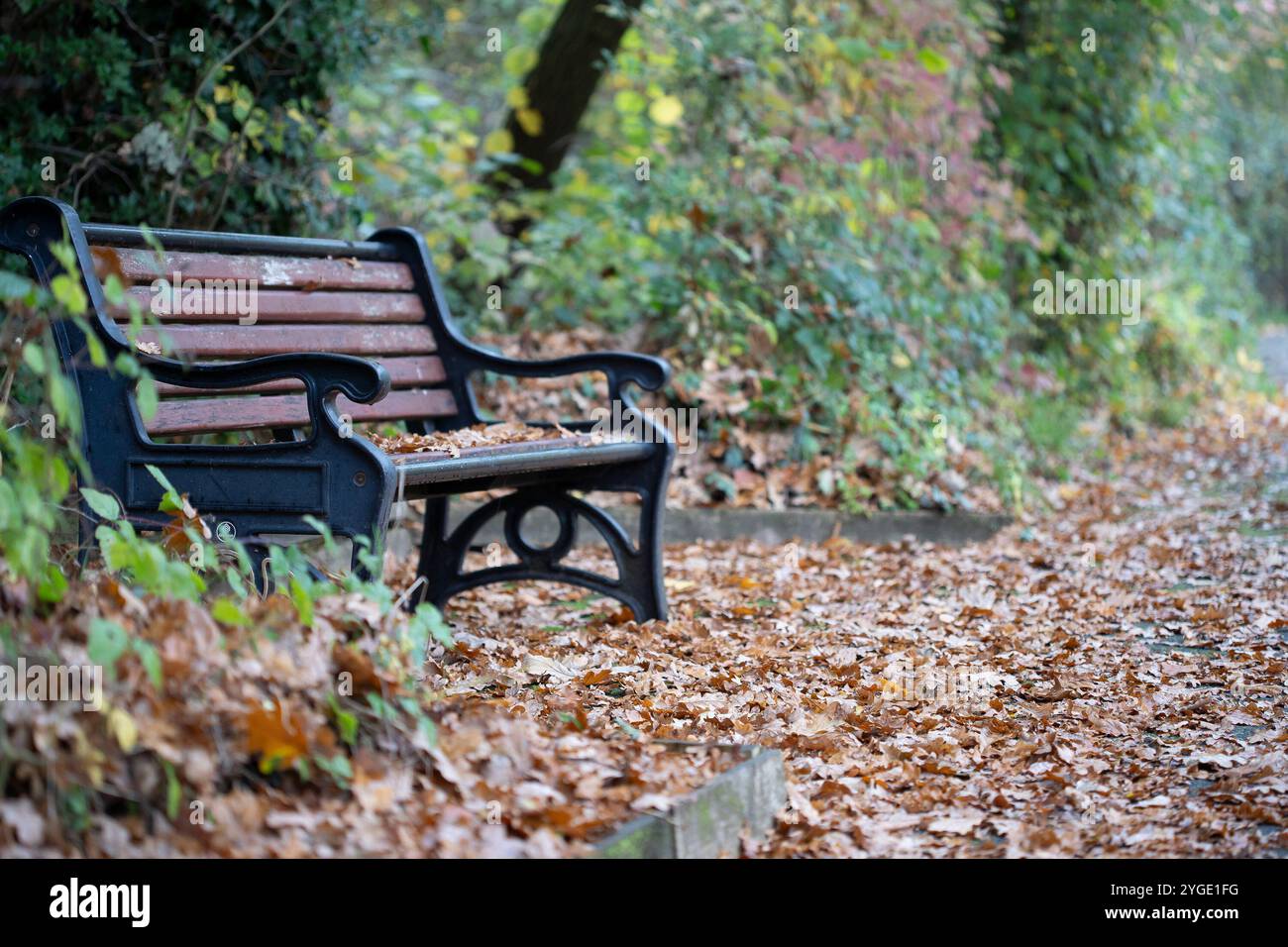 Kidderminster, Großbritannien. November 2024. Wetter in Großbritannien: Ein weiterer langweiliger und bewölkter Herbsttag, der aber größtenteils trocken bleibt. Quelle: Lee Hudson/Alamy Live News Stockfoto