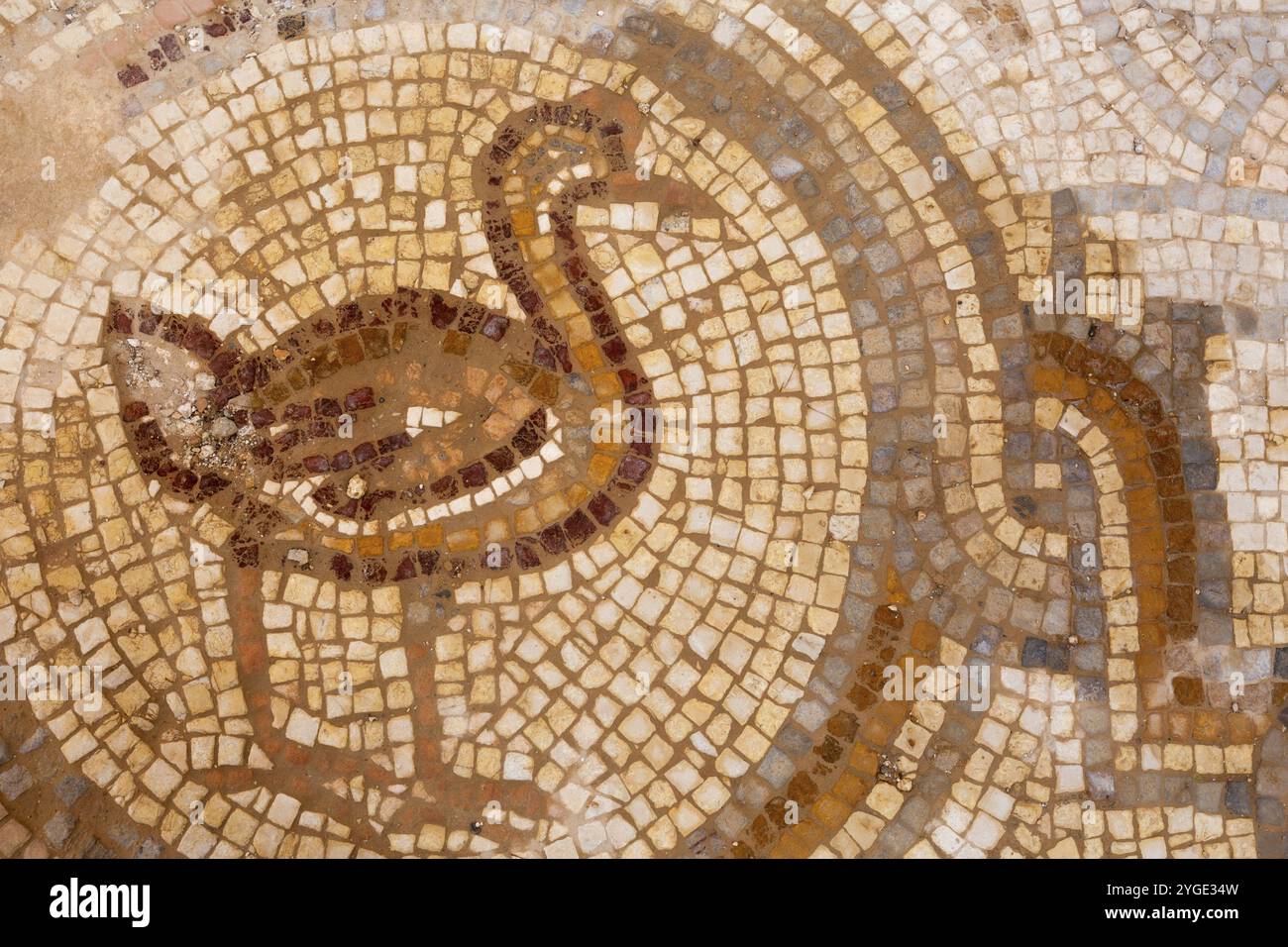 Vogelmosaik des Wüstenschlosses Qasr Al Hallabat in Jordanien Stockfoto