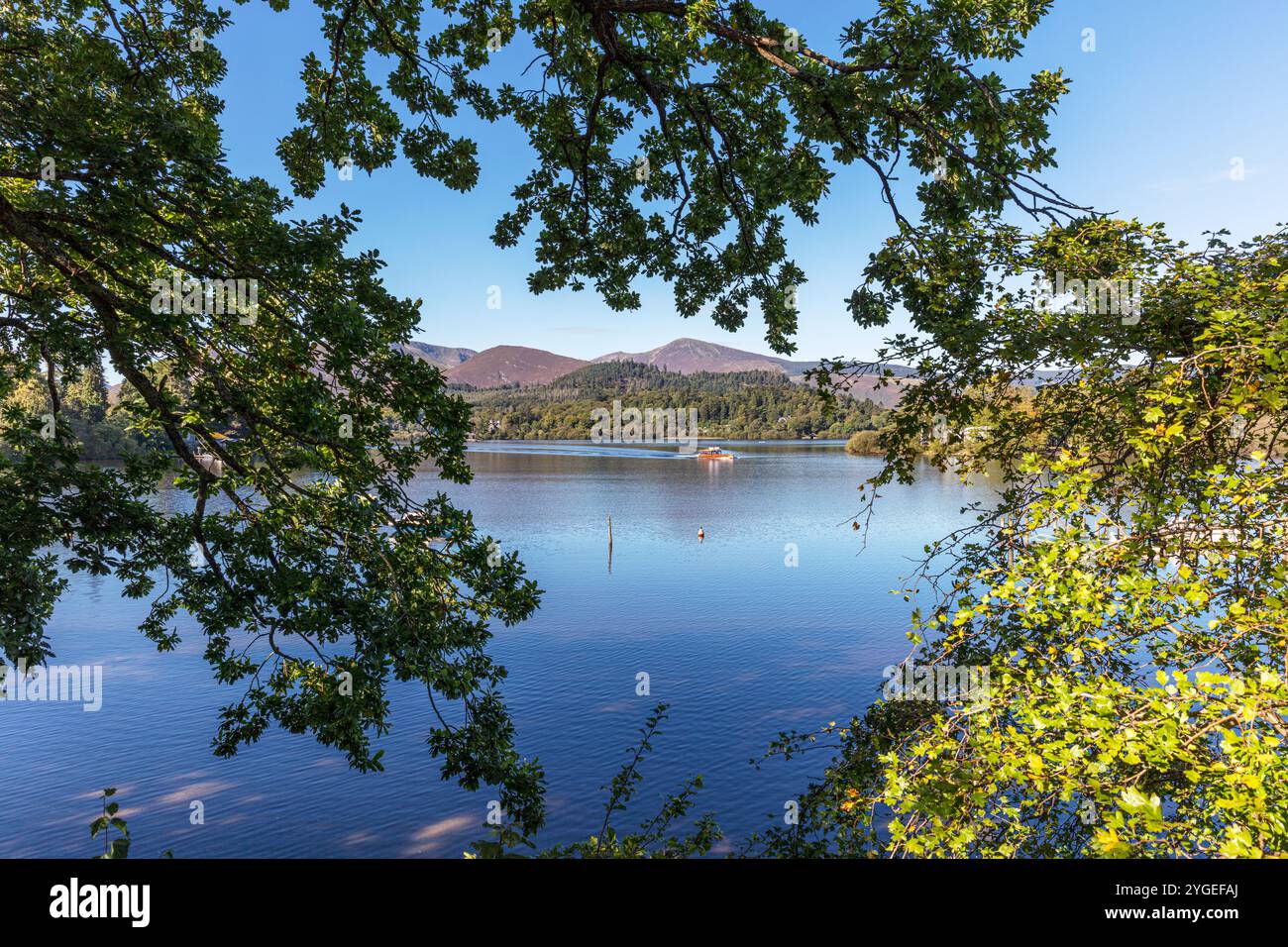 Derwentwater, derwent Water, Keswick, Cumbria, Vereinigtes Königreich, England, Cumbrian Lake, Cumbrian Lake, Lake Derwentwater, Derwentwater Lake, see, Seen, Cumbrian Stockfoto