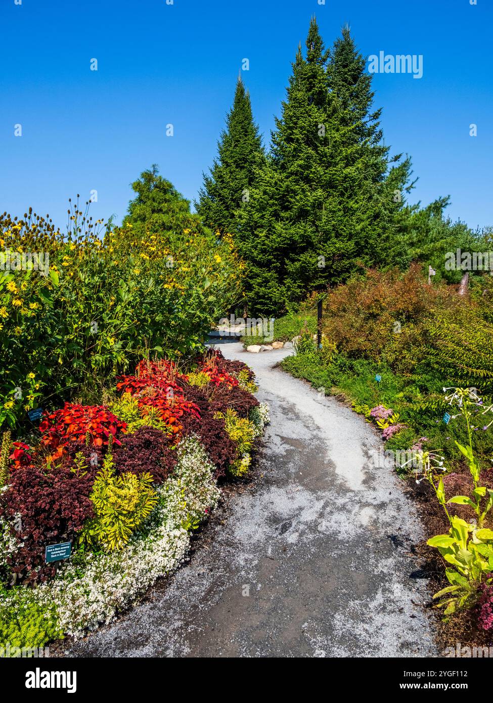 Fallen Sie in den Botanischen Gärten von Maine, Boothbay Harbor, Maine, USA Stockfoto