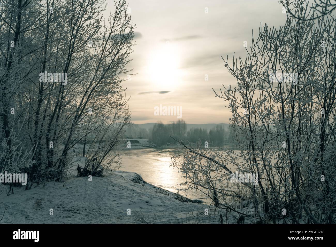 Enisey Fluss im Winter mit gefrorenen Bäumen. Hochwertige Fotos Stockfoto